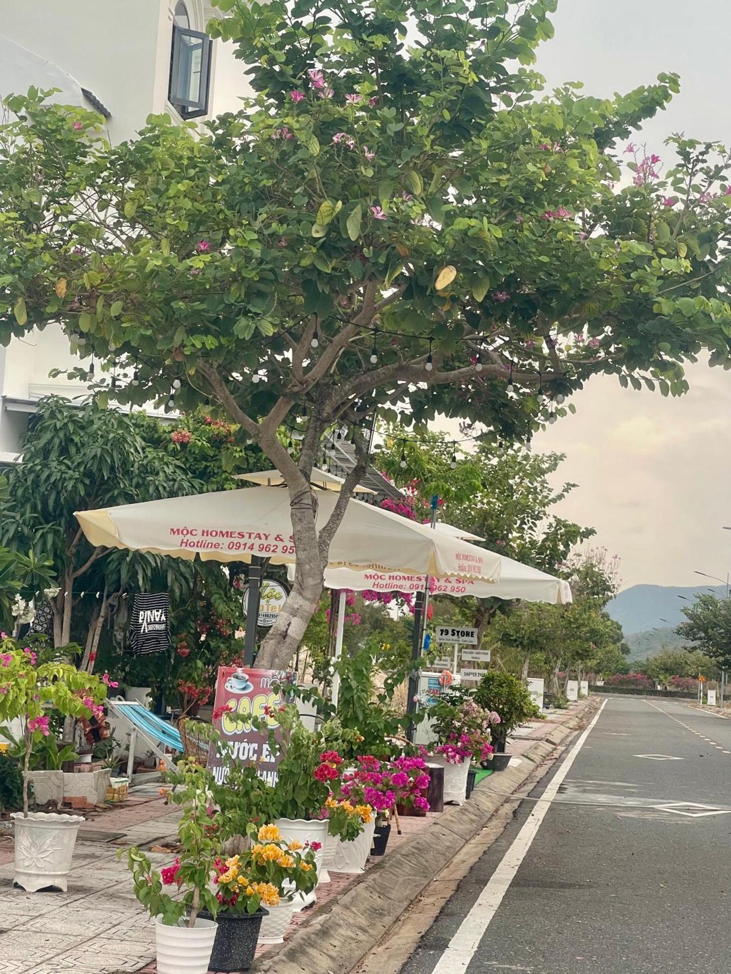 Moc Homestay- Near Bai Dai Beach Cam Lam Exterior photo